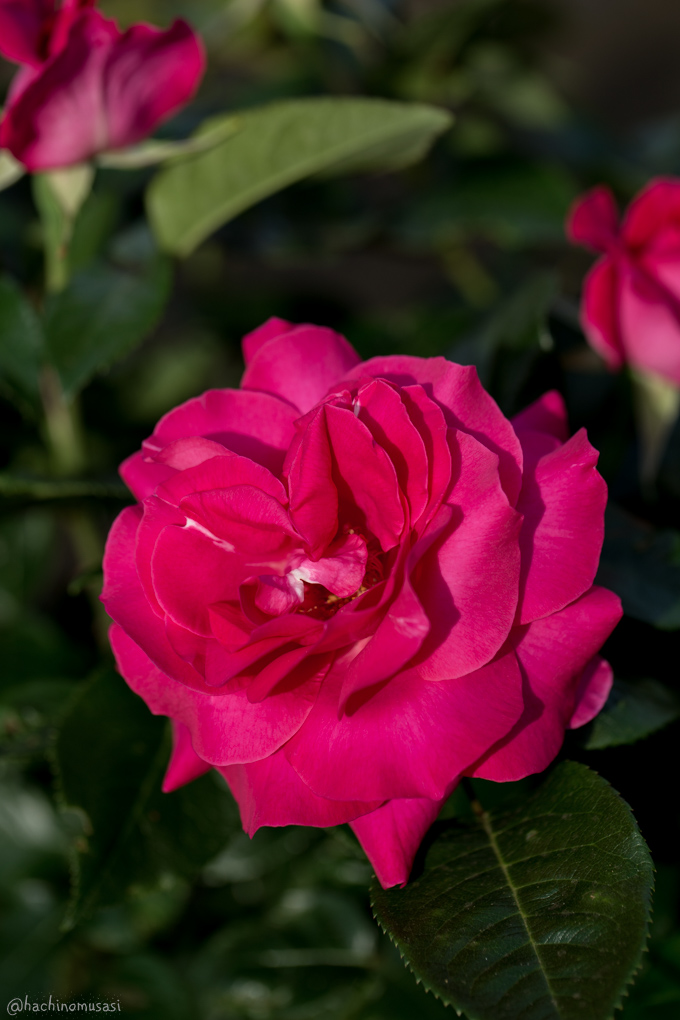 f0249918_03018.jpg