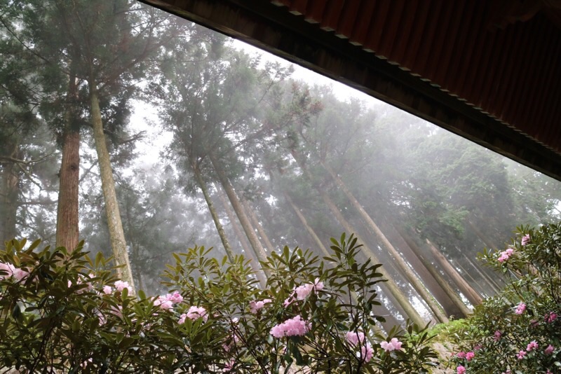 c0037519_1651552.jpg