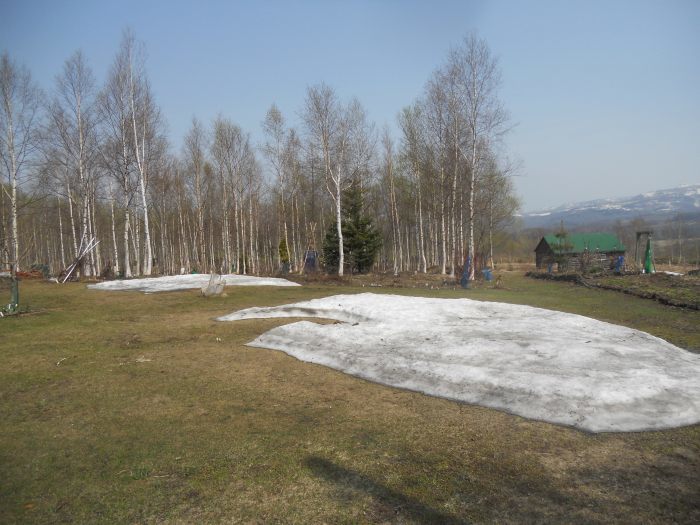 d0143719_09052080.jpg