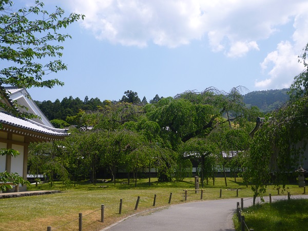 f0228619_2211124.jpg