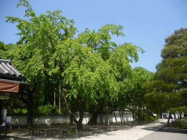 f0228619_227139.jpg