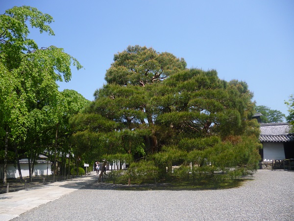 f0228619_2272054.jpg