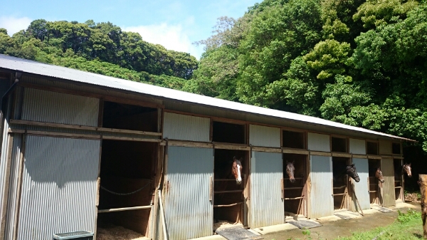 b0187620_21402737.jpg