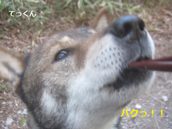f0143123_1025783.jpg