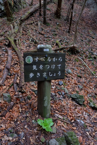 b0281732_15503263.jpg