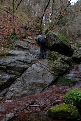 b0281732_15504966.jpg