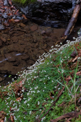 b0281732_15512748.jpg