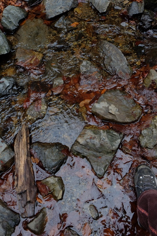 b0281732_15513475.jpg