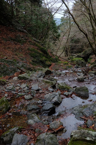 b0281732_15514719.jpg