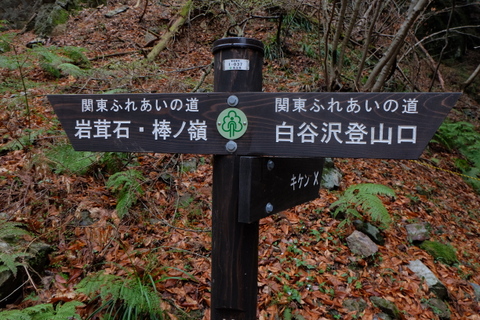 b0281732_15521819.jpg