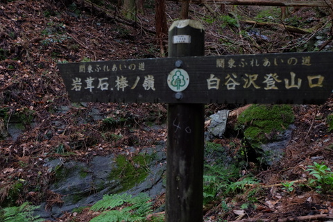 b0281732_15524664.jpg