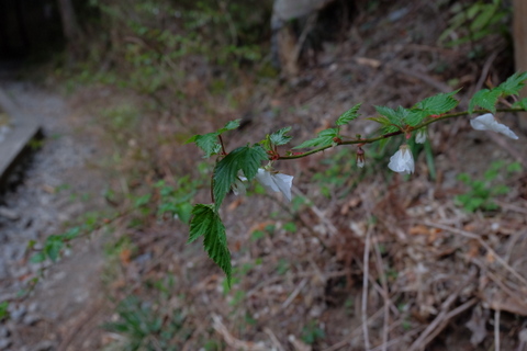 b0281732_15535140.jpg