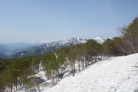 f0118332_12505471.jpg