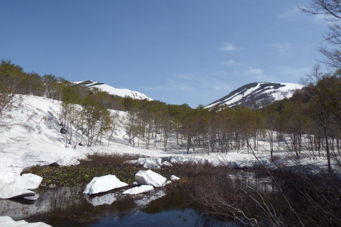f0118332_12511698.jpg