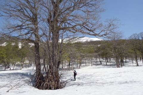 f0118332_12520130.jpg