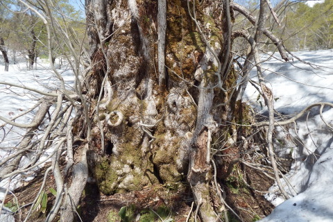 f0118332_12521690.jpg