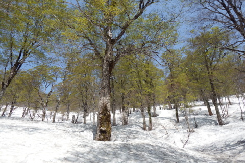 f0118332_12523399.jpg