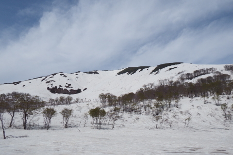 f0118332_13021022.jpg