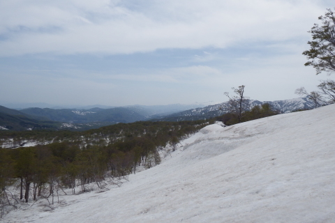 f0118332_13032285.jpg