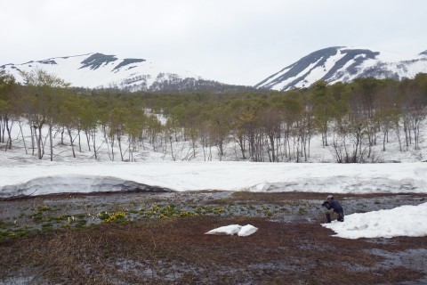 f0118332_13041374.jpg