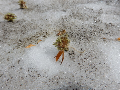 f0118332_13050006.jpg