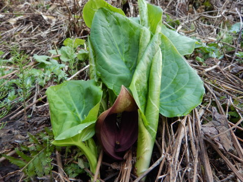 f0118332_13051322.jpg