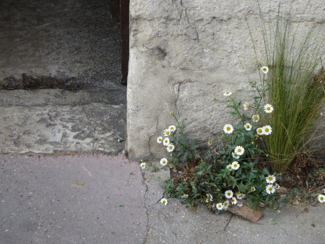 b0167334_1729743.jpg