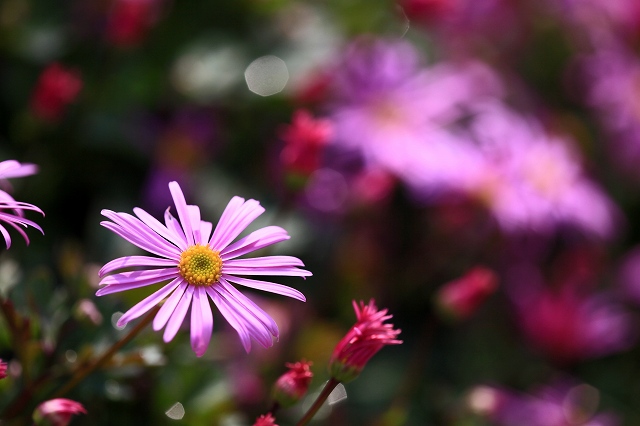 a0242438_1754260.jpg