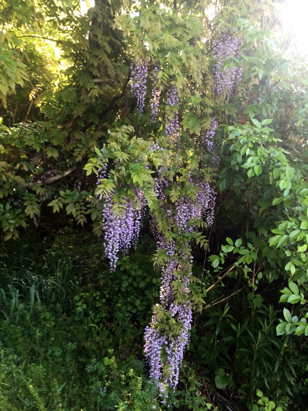 b0057140_223714.jpg