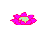 e0034540_6371962.png