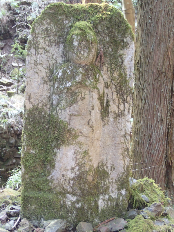 b0190242_937402.jpg