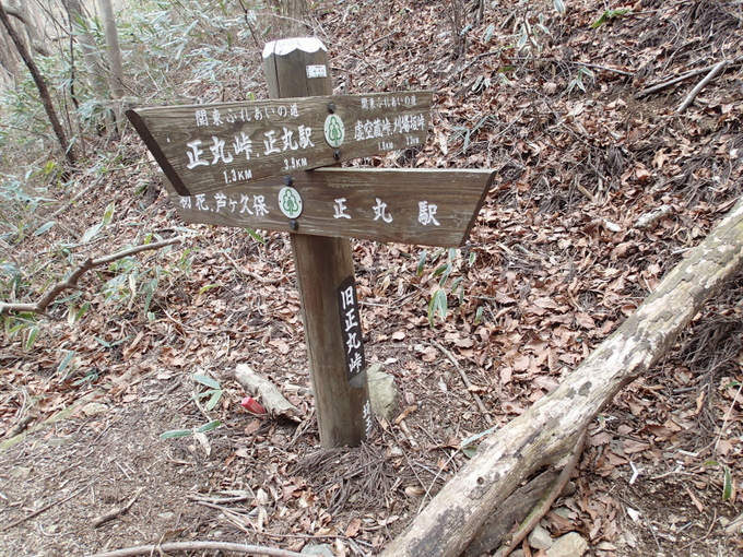 b0190242_9385565.jpg