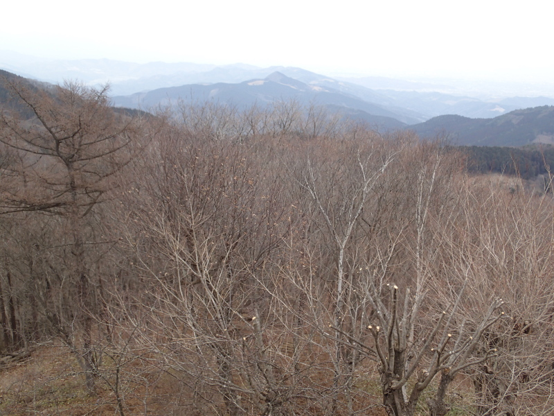 b0190242_9464836.jpg