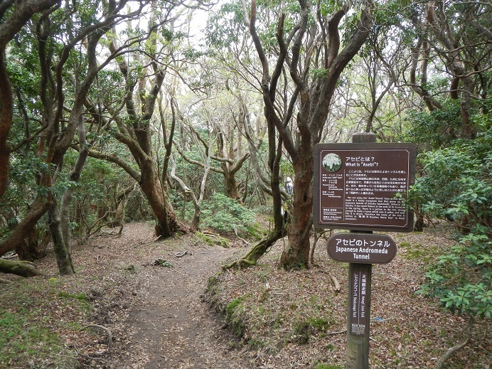 e0272042_09253408.jpg