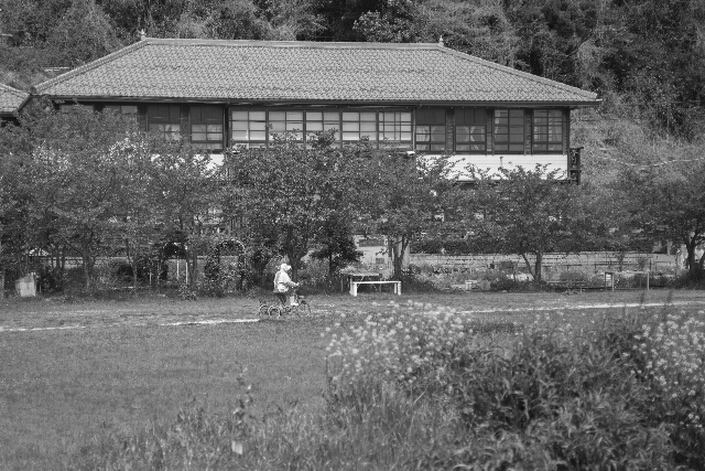 f0158043_9104085.jpg