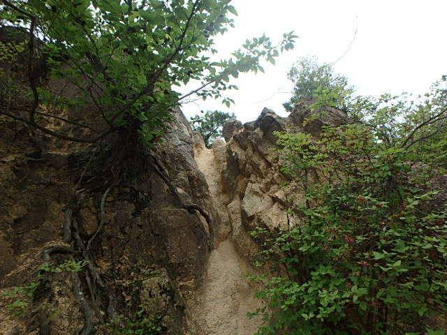 f0334143_843852.jpg