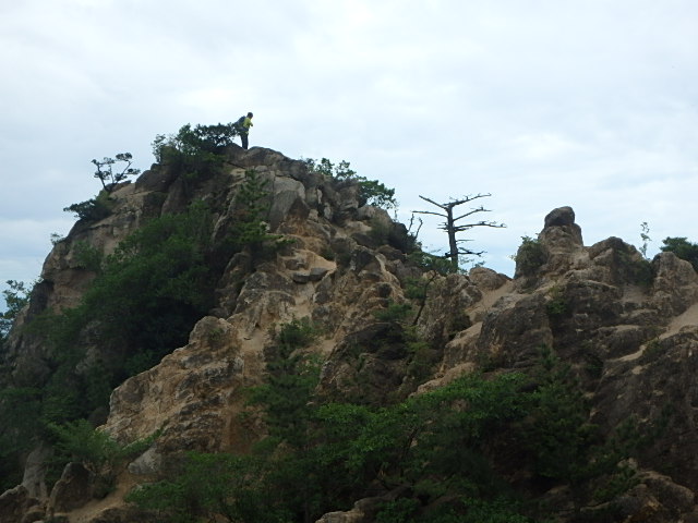 f0334143_8444148.jpg