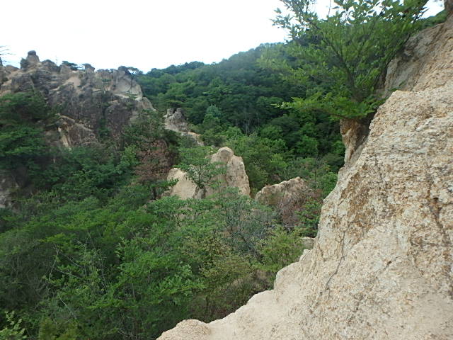 f0334143_8445164.jpg