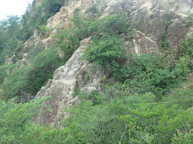 f0334143_845525.jpg