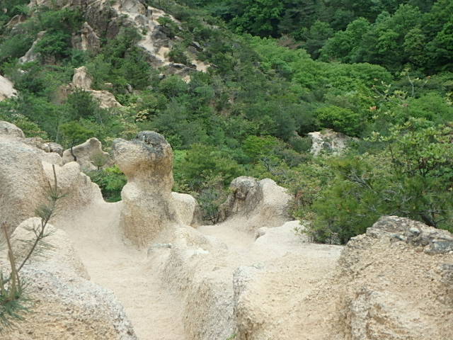 f0334143_8484517.jpg