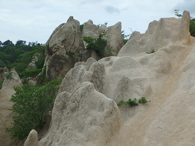 f0334143_8492696.jpg