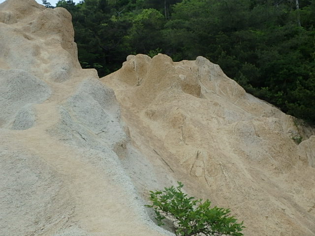 f0334143_8494893.jpg