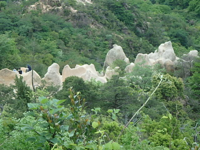 f0334143_8503682.jpg