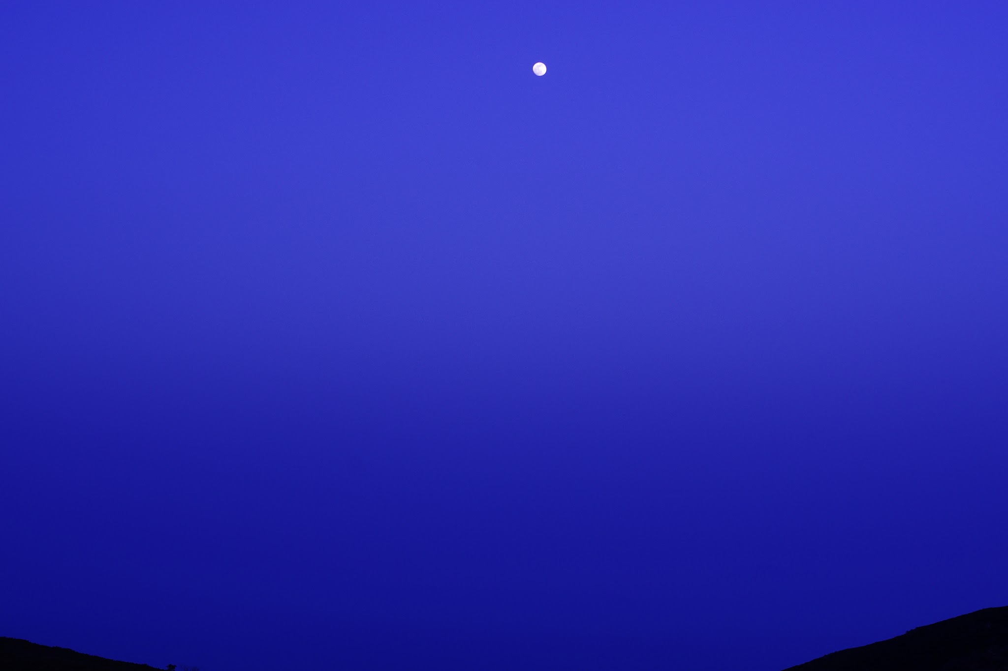 c0077847_16452975.jpg