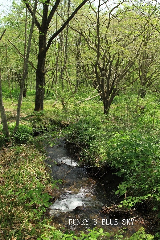 c0145250_16532784.jpg
