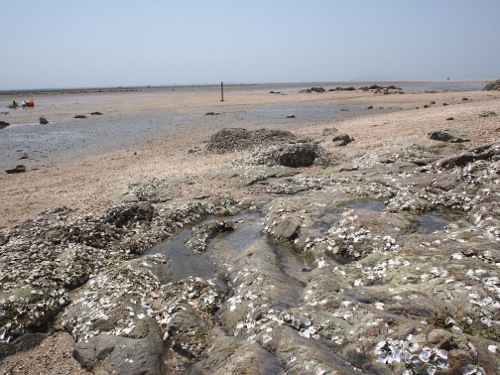 f0035251_22145514.jpg