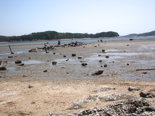 f0035251_2215122.jpg