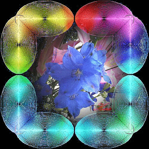 b0133752_22443252.gif