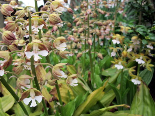 c0147952_05018100.jpg
