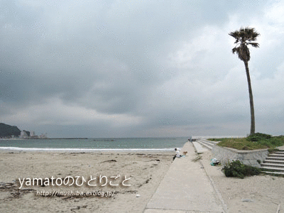 a0286855_10182581.gif